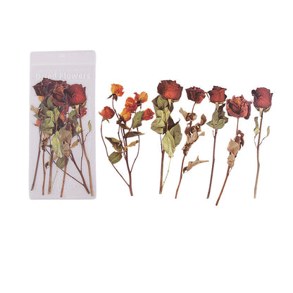 Getrocknete Blumen Aufkleber Set