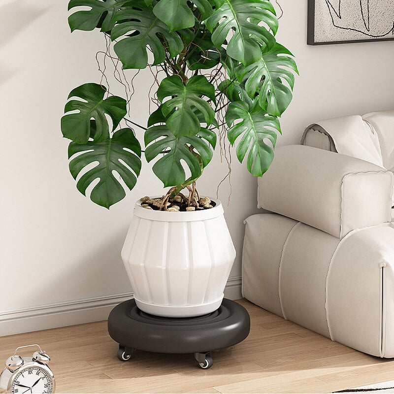 Frendorf | 360 Rotierbarer Rollenhocker