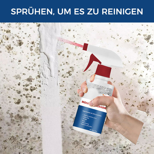 Frendorf | Schimmel-Reinigungsschaum