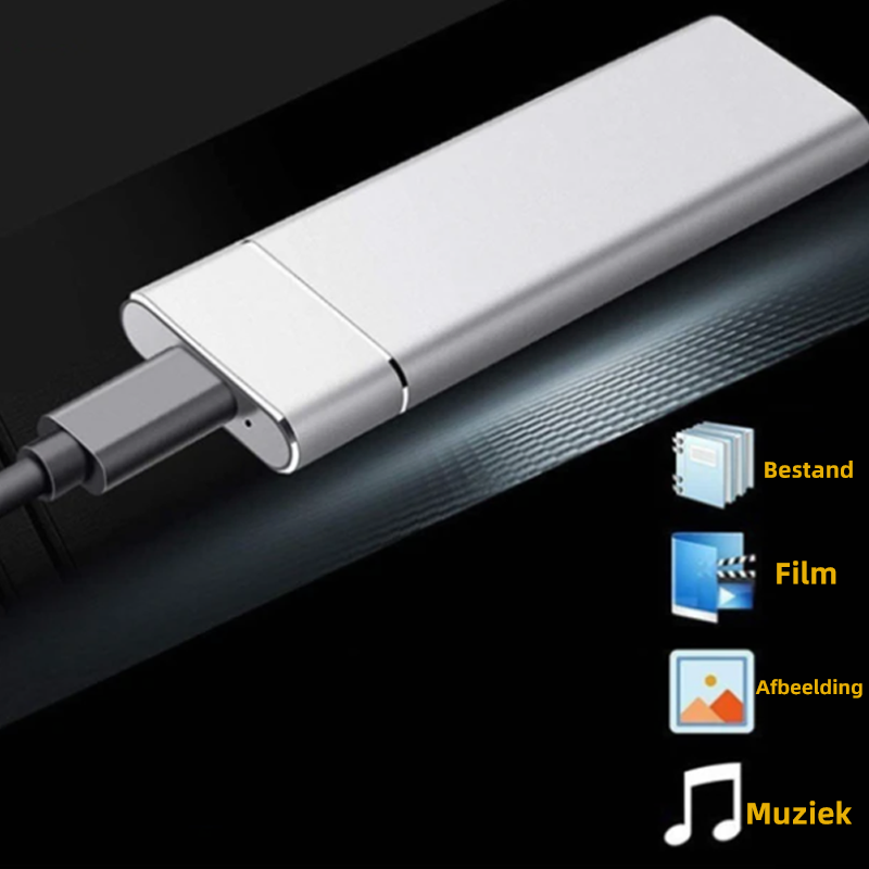 Frendorf | SwiftStor Externe SSD