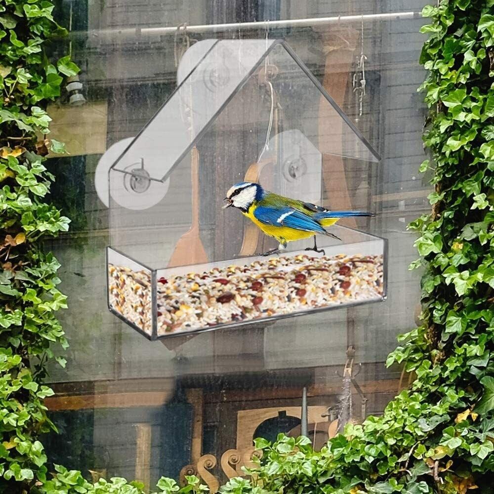 Frendorf | BirdFeeder | Fönster Fågelhus