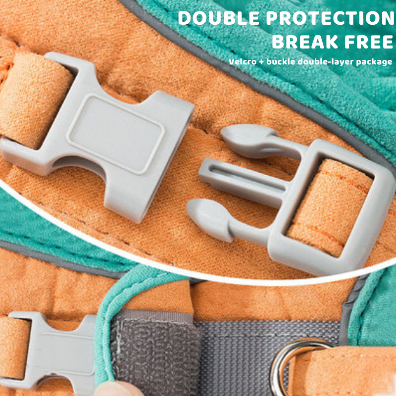 Frendorf | Katzenweste Geschirr und Leinen-Set