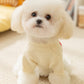 Bunter Apple Strickhundepullover