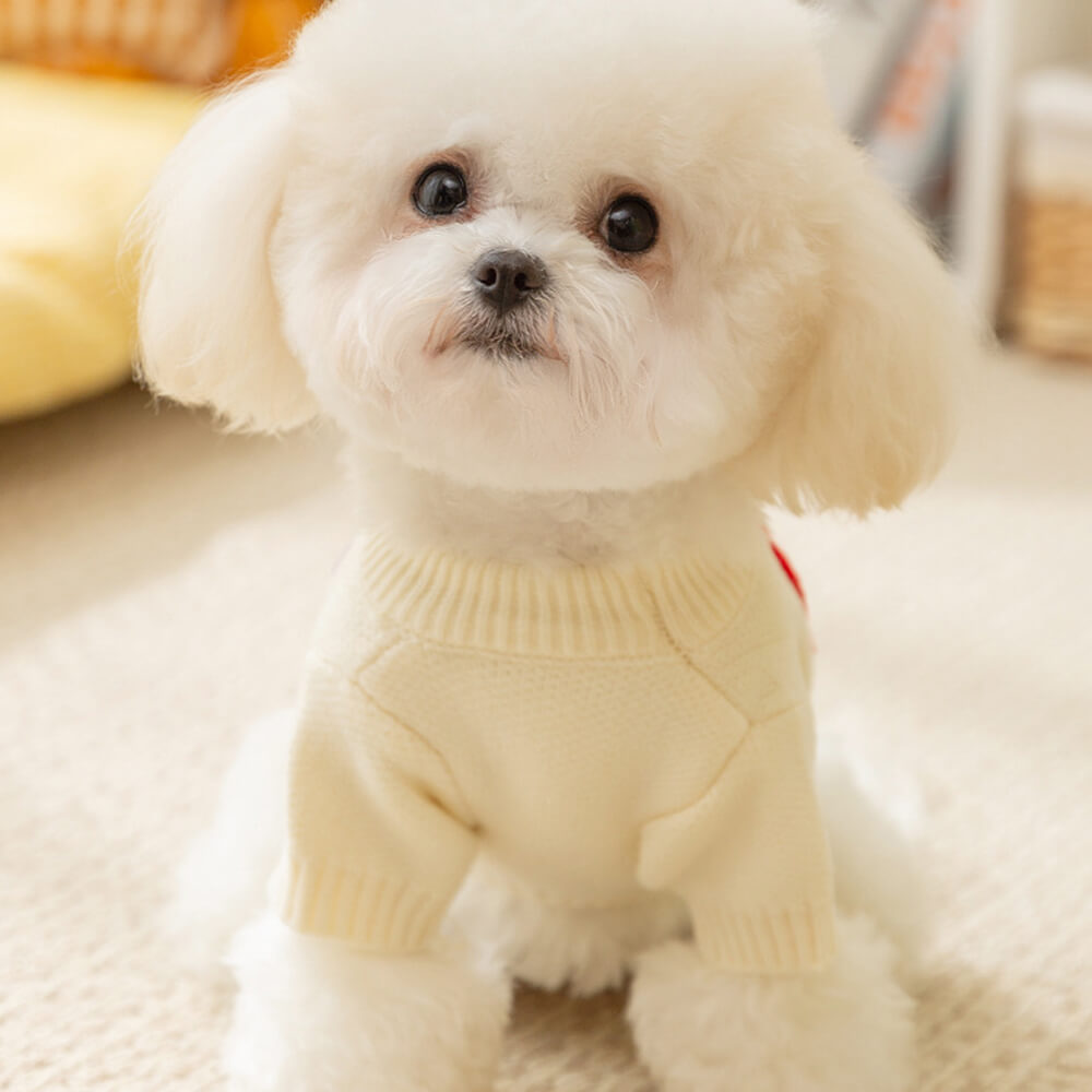 Bunter Apple Strickhundepullover