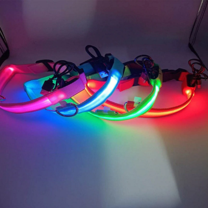 LED Hundehalsband