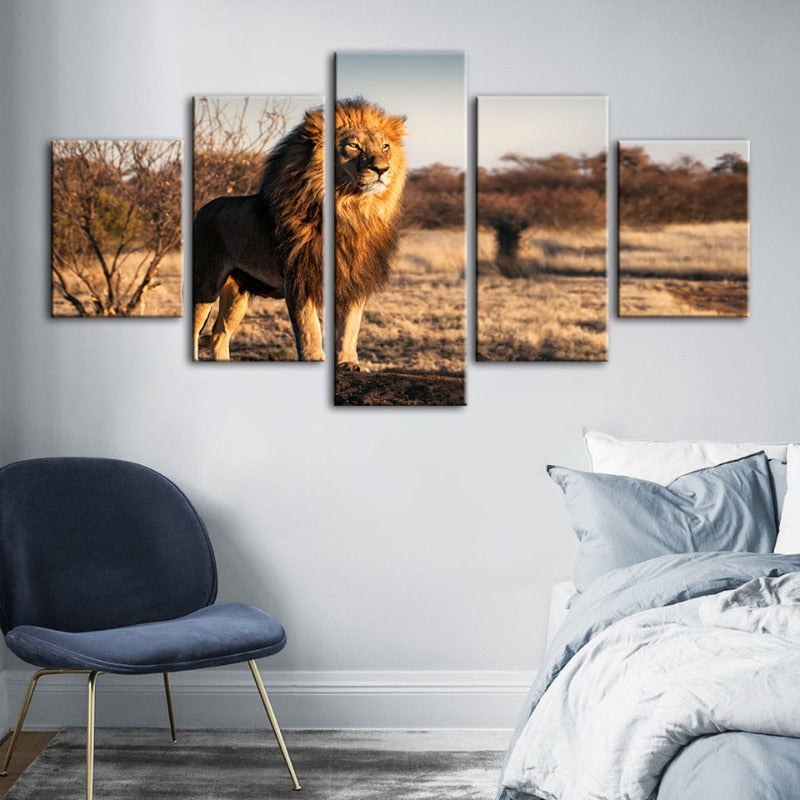 5-teiliges majestätisches Löwenmotiv im Sonnenlicht - Leinwand Wandkunstgemälde