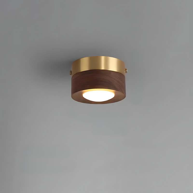Frendorf | Walnuss-Deckenlampe mit LED-Strahler