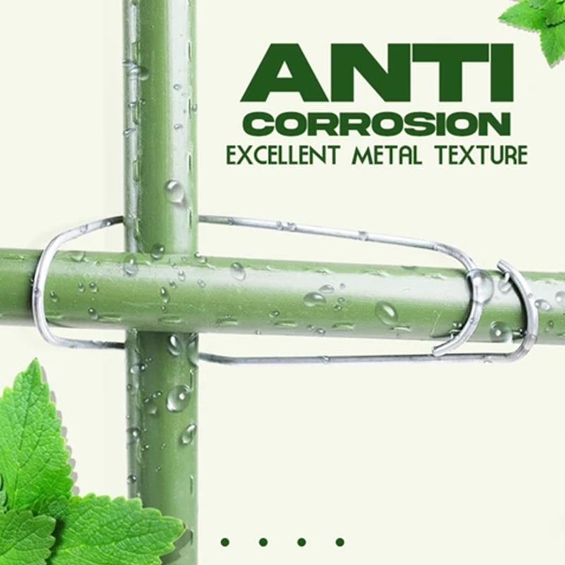 Frendorf | Pflanze verbindende Schnallen