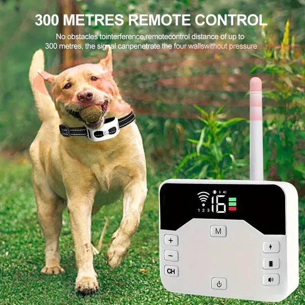 Frendorf | PawPal Hundehalsband Ohne Kabel – Freiheit und Sicherheit für Ihren Hund
