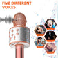 Frendorf | Kabelloses Handheld Bluetooth Mikrofon