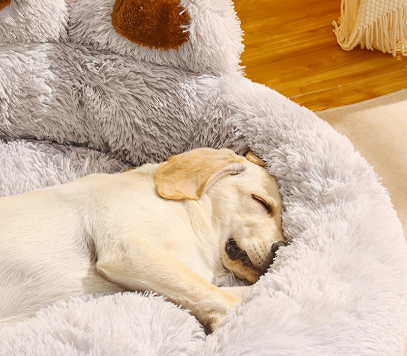 Frendorf | Waschbares Haustierbett CozyPaw mit pfotenförmigem Design