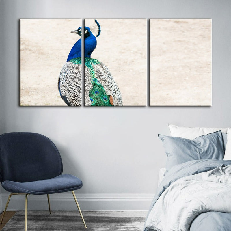 Rockiges Elegantes Pfau-Leinwand Wandkunst Gemälde 3 Teile