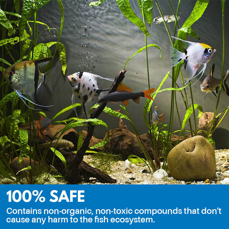 Frendorf | Aquarium Reinigendes Pulver