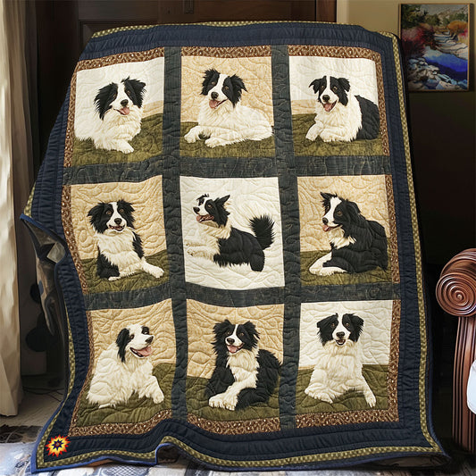 Freundliche Border Collie Decke