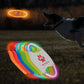 Frendorf | Hundesport Frisbee.