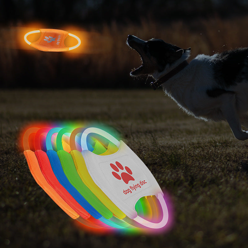 Frendorf | Hundesport Frisbee.