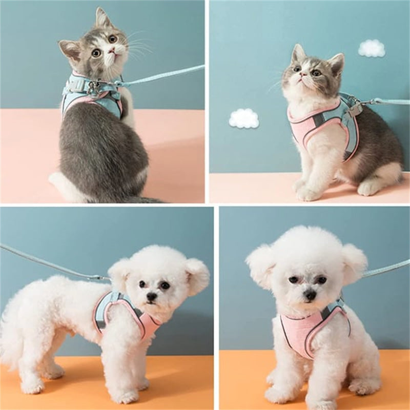 Frendorf | Katzenweste Geschirr und Leinen-Set