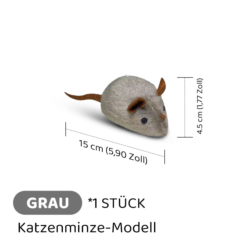 Frendorf |  CatPlay – Jagen, spielen, juchzen – der Spaß für deine Katze!