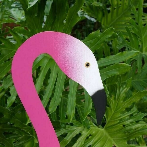 Frendorf | Wirbelnder Flamingo im Garten