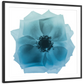 Frendorf | Rose Petal Blues I Wandkunst