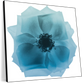 Frendorf | Rose Petal Blues I Wandkunst
