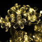 Frendorf | 50 LED Feenblumen Solar Lichterkette