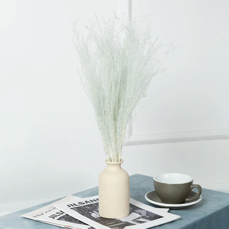 Frendorf | Buntes Schilfrohr (weiß) – weiches und elegantes getrocknetes Pampasgras, perfekt für die Wohnkultur, Blumenarrangements und Veranstaltungsdekorationen, verleiht Vasen, Sträußen und Tischdekorationen einen natürlichen und bohemian Touch.