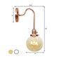 Frendorf | Vintage Globe Wandverlichting 1 Licht Duidelijk/Amber Glas Wandlamp in Koper met Bochtige Arm