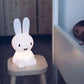 Frendorf | LumiBuddy Kinder Tischlampe | Kabellos & Dimmbar | Niedliches Nachtlicht | Stimmungslicht für Kinderzimmer
