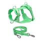 Schick verstellbares PVC-Hundegeschirr und Leine