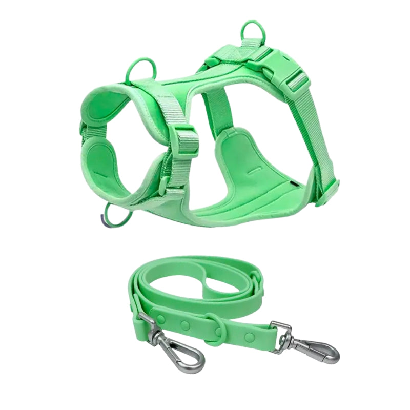 Schick verstellbares PVC-Hundegeschirr und Leine
