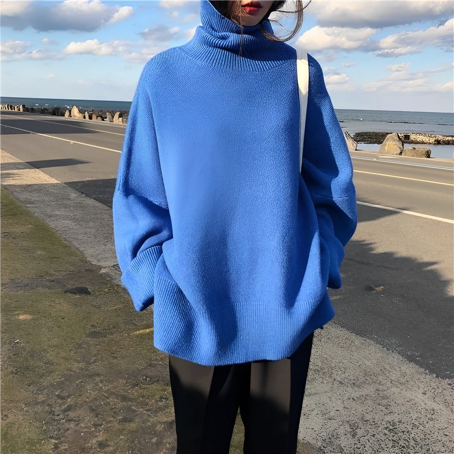 Warmer -Rollkragenpullover