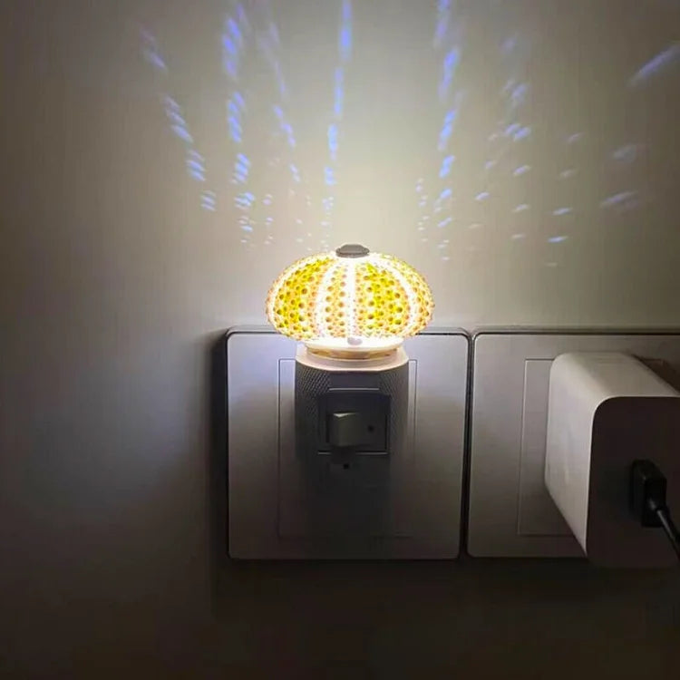 LumiCraft – Einzigartige DIY Tischlampe mit natürlicher Urmuschel für eine stimmungsvolle Einrichtung