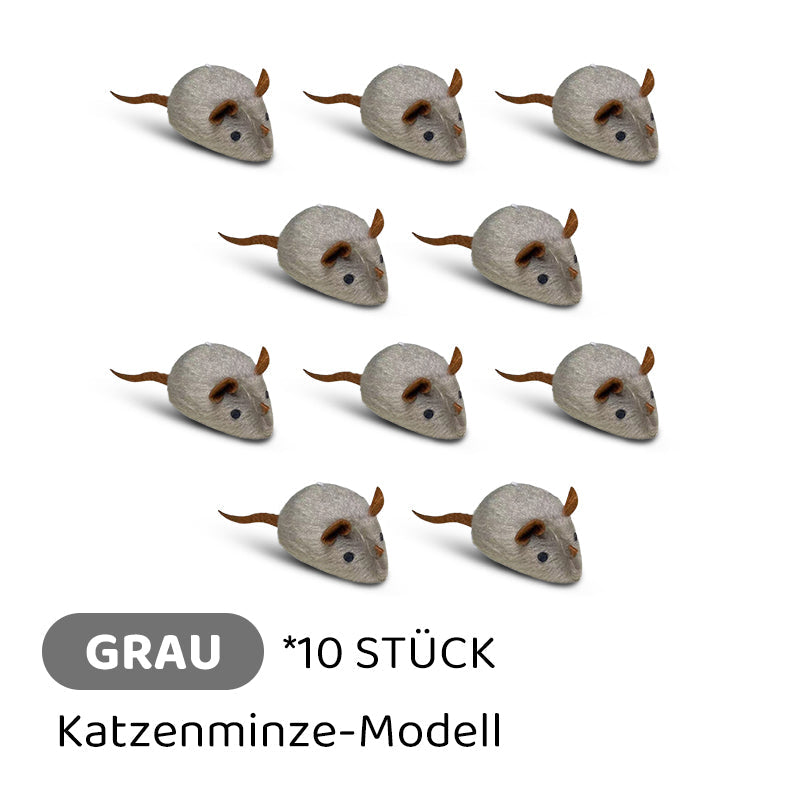 Frendorf |  CatPlay – Jagen, spielen, juchzen – der Spaß für deine Katze!