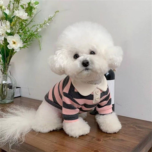 Klassische gestreifte Polo-Hundeshirts