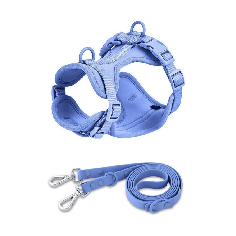 Schick verstellbares PVC-Hundegeschirr und Leine