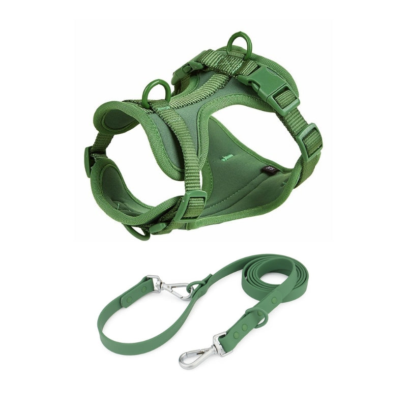 Schick verstellbares PVC-Hundegeschirr und Leine