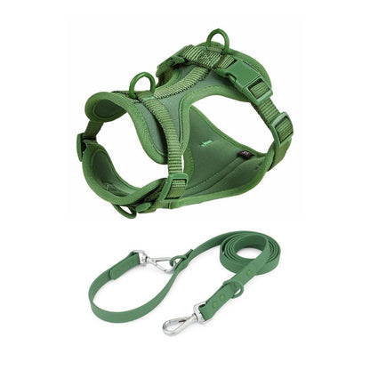 Schick verstellbares PVC-Hundegeschirr und Leine