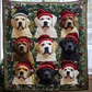 Labradors In Weihnachtsdecke
