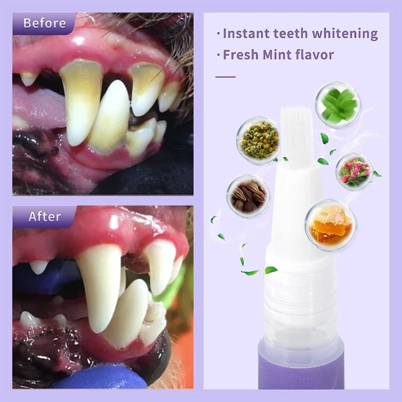 Frendorf | BiteBright– Frischer & gesunder Atem für Haustiere