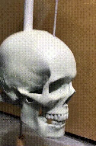 Frendorf | Iron Skull Whirligig - Gartendekoration