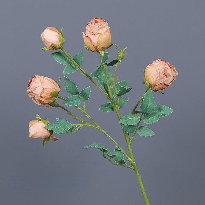 Frendorf | 5 Kopf Rose Seidenblume