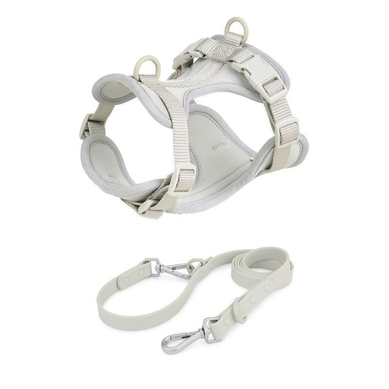 Schick verstellbares PVC-Hundegeschirr und Leine