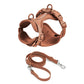 Schick verstellbares PVC-Hundegeschirr und Leine