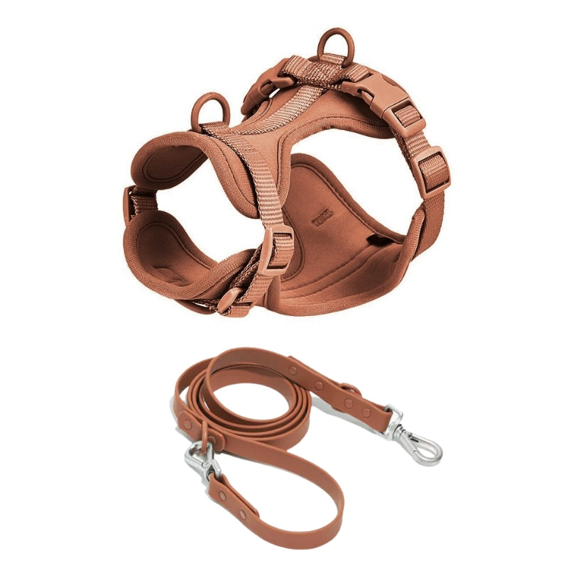 Schick verstellbares PVC-Hundegeschirr und Leine