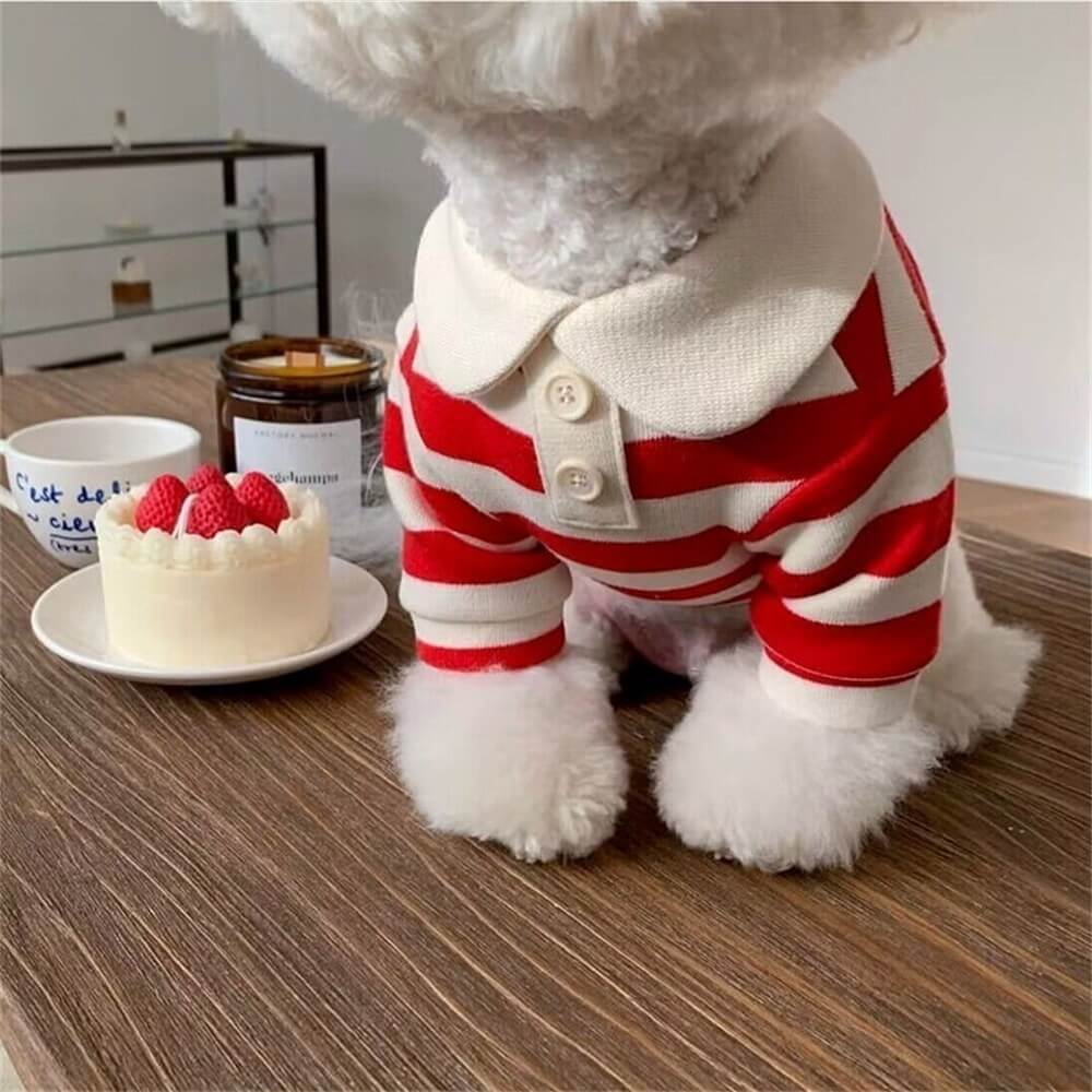 Klassische gestreifte Polo-Hundeshirts