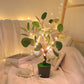 Frendorf | TwinkleBranch - LED-Nachtlicht mit Weihnachtszweig und dekorativem Topf