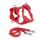 Schick verstellbares PVC-Hundegeschirr und Leine