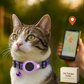 Frendorf | Katzen GPS Tracker Halsband | Schnellverschluss, reflektierendes Design & strapazierfähig für Outdoor-Sicherheitsabenteuer