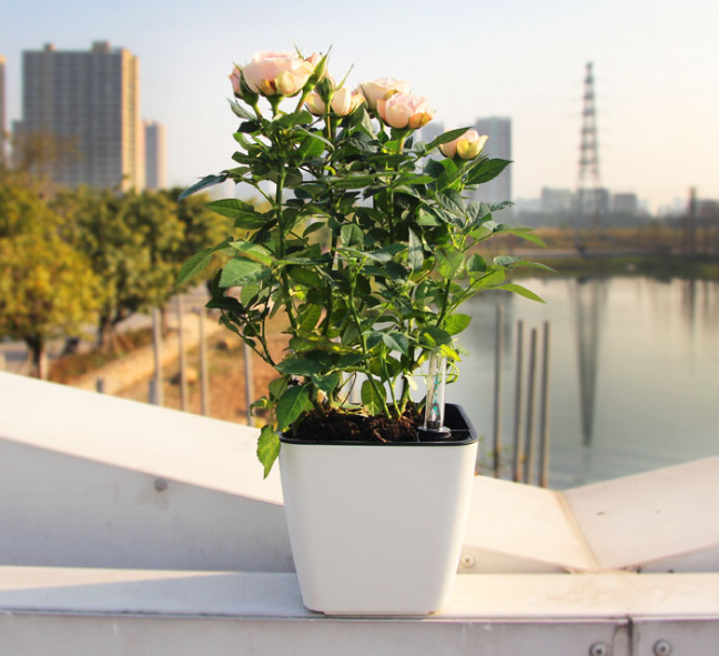 Frendorf | Blumentopf mit Bewässerungssystem – Selbstbewässernder Pflanztopf für Innen- und Außennutzung